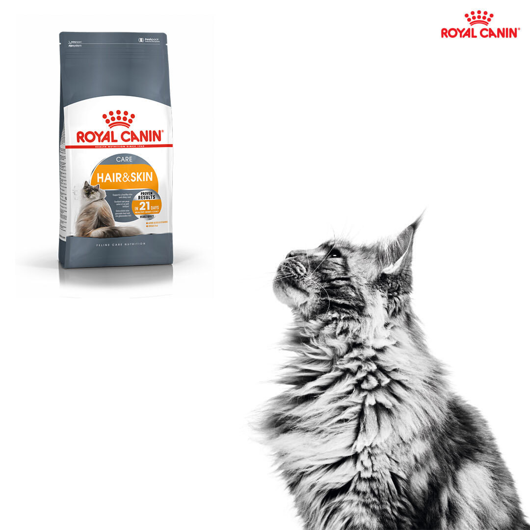 Royal Canin Hair&Skin care 2kg