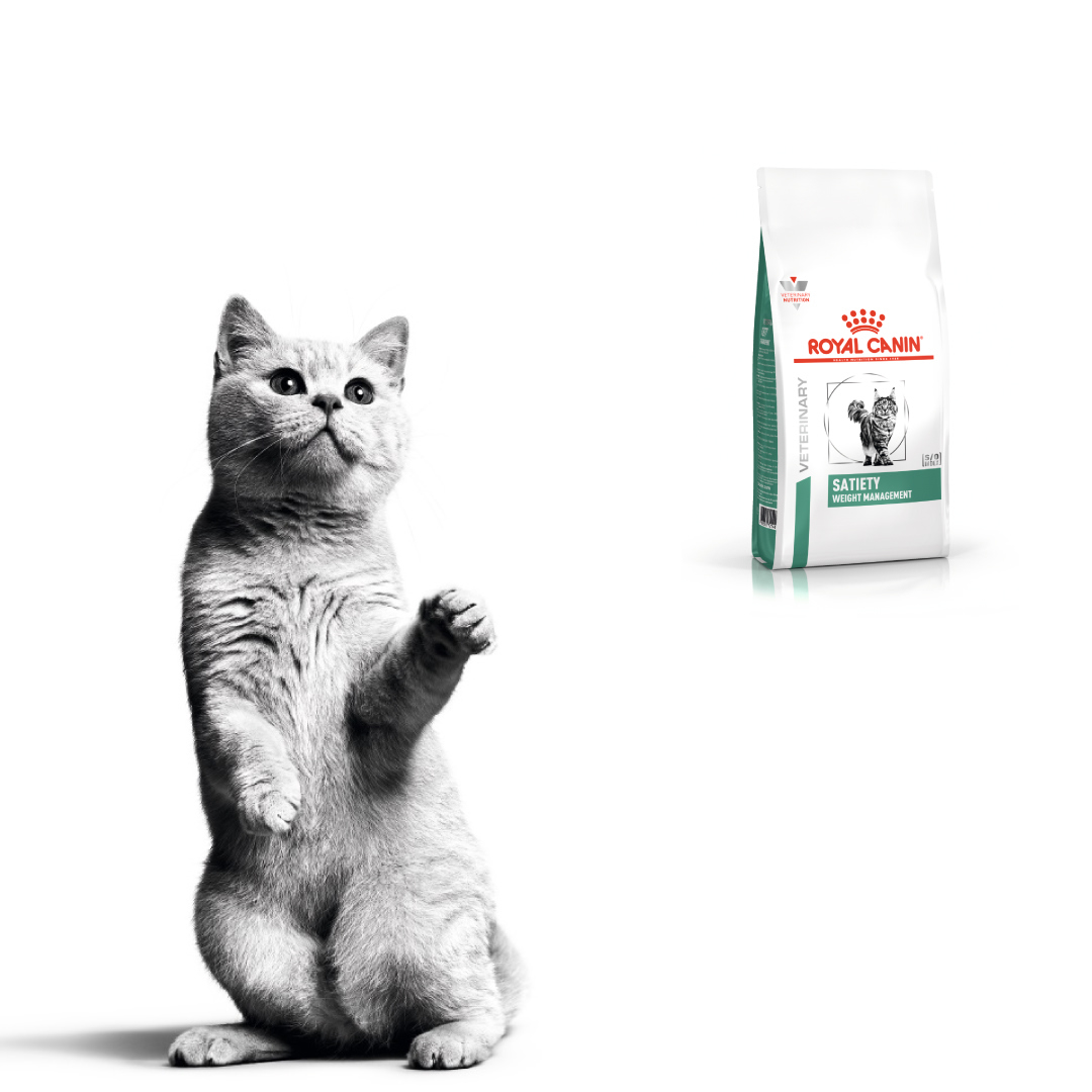 Safiety Weight Management