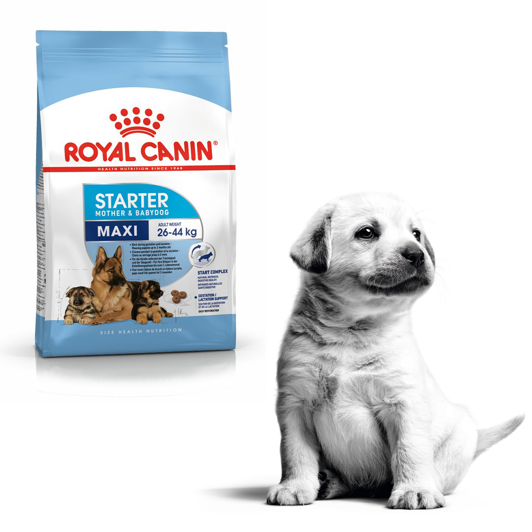 Royal Canin Starter Maxi Mother & Babydog 1KG