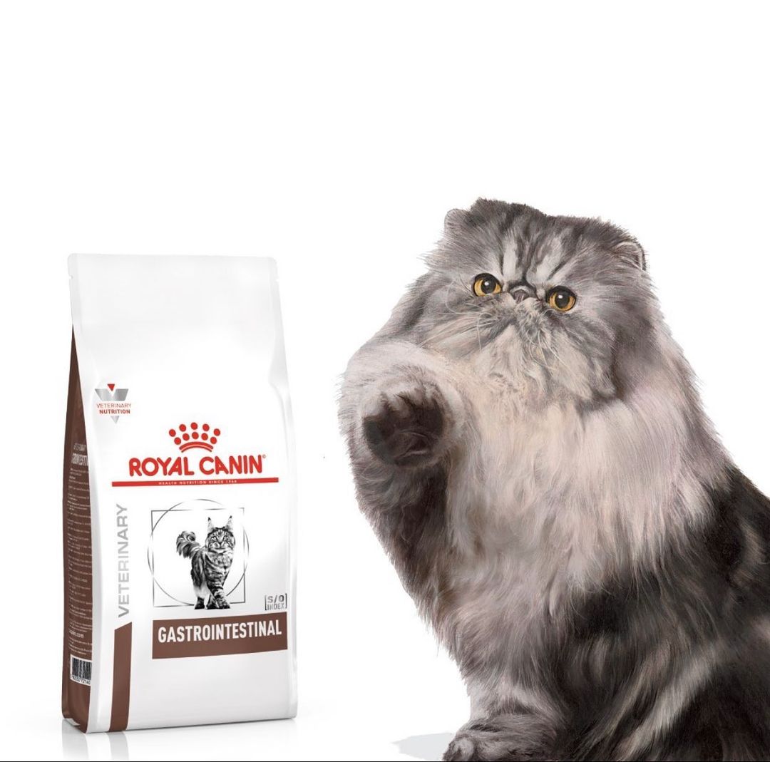 Royal Canin Gastrointestinal 2 KG