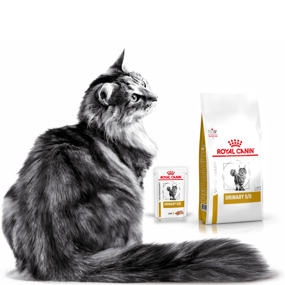 Royal Canin Urinary S/O 1.5 KG
