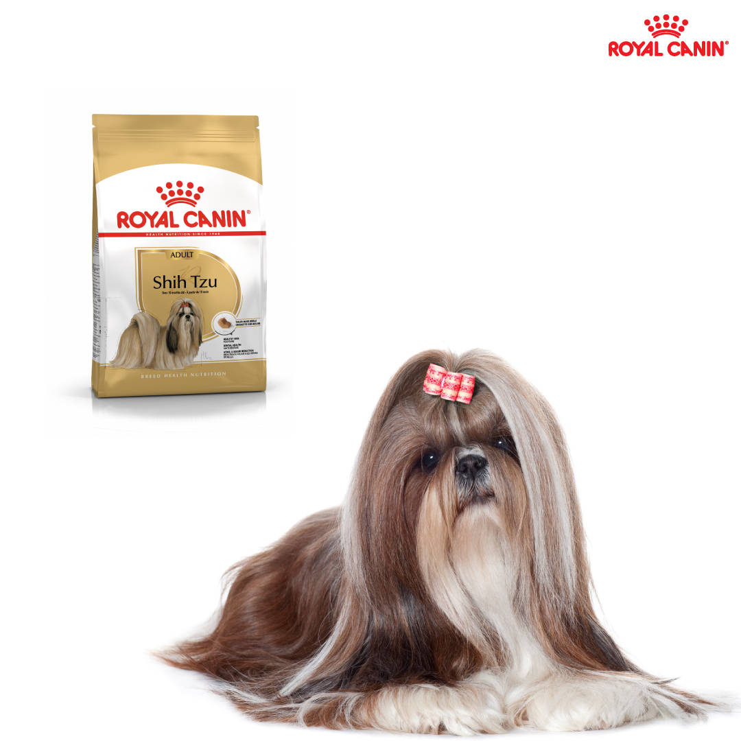 Royal Canin Shih Tzu Adult 1.5 kg