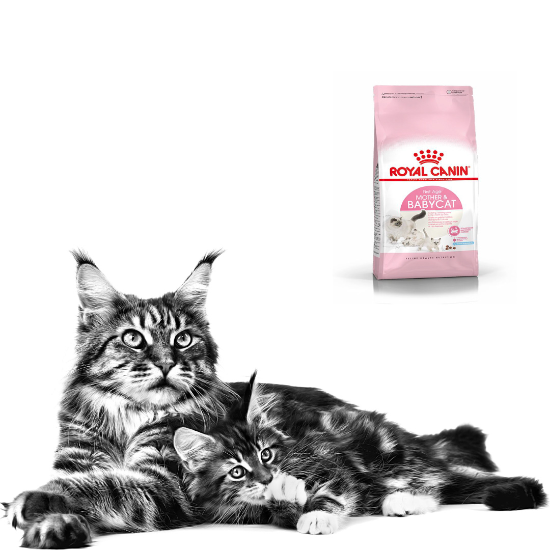 Royal Canin Mother&Babycat 2KG