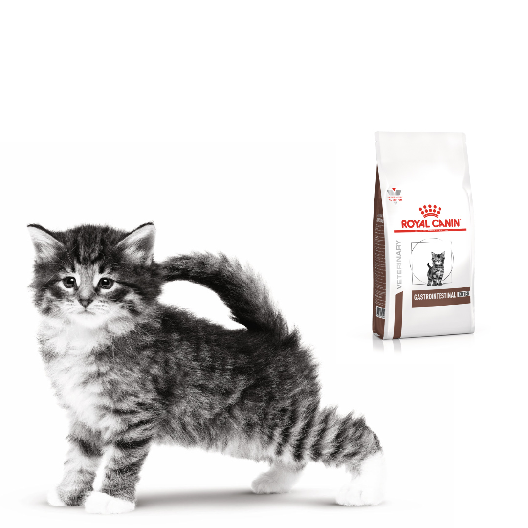 Royal Canin Gastrointestinal Kitten 400GR