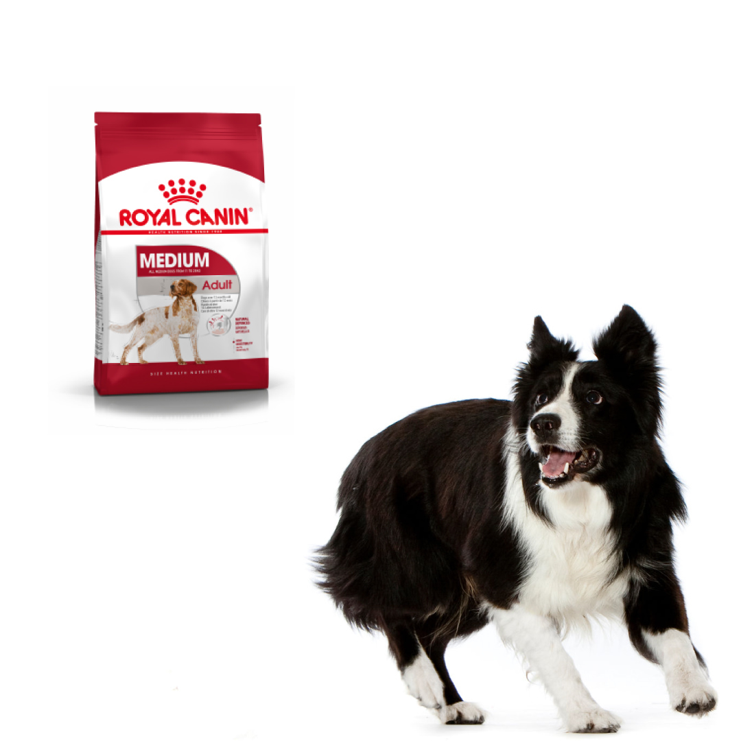 Royal Canin Medium Adult 4KG