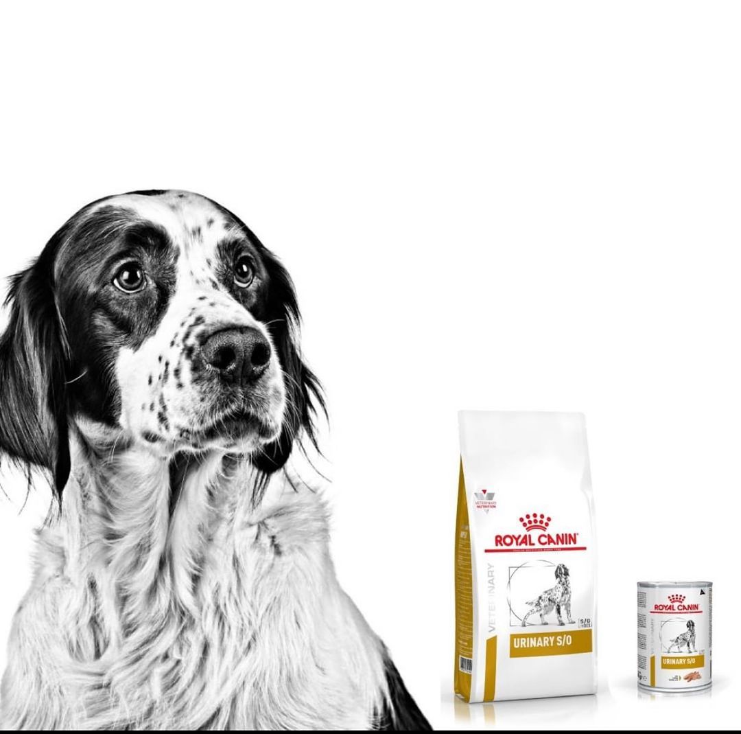 Royal Canin Urinary S/O