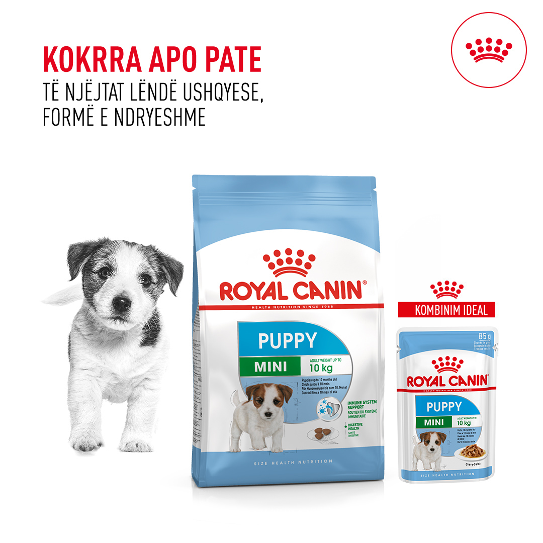 Royal Canin Mini puppy 2KG