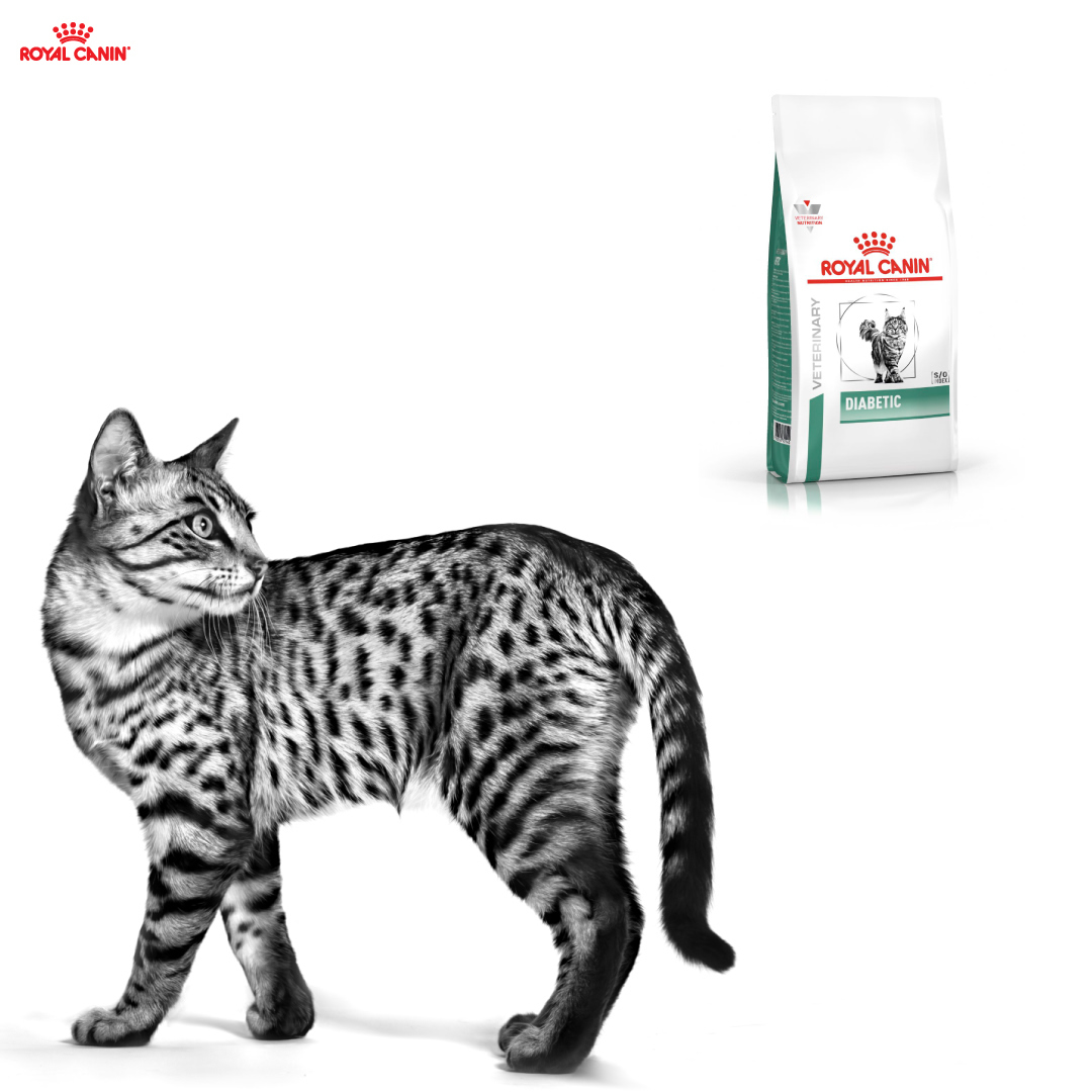 Royal Canin Diabetic Cat 1,5kg